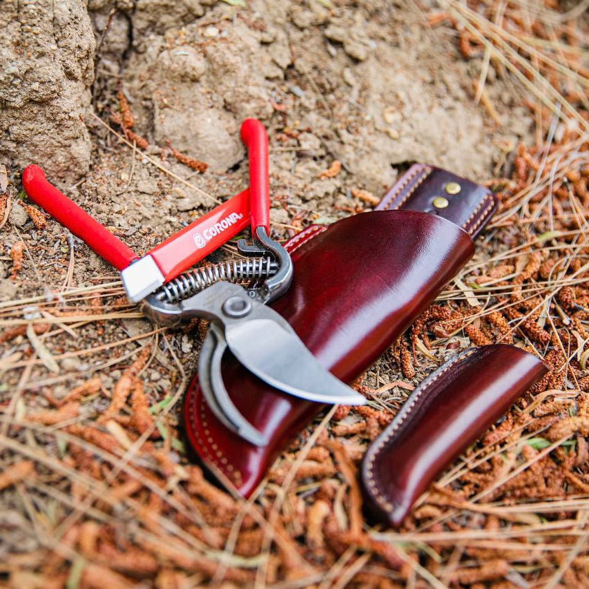 Handmade leather sheath for Corona Shears ACR Design Co
